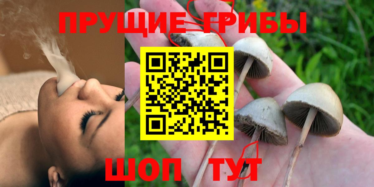 Галлюциногенные грибы прущие грибы Черкесск