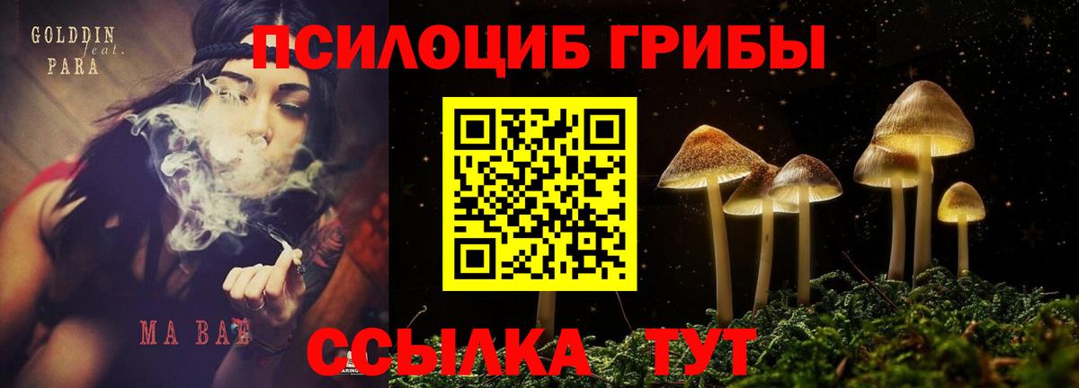 Галлюциногенные грибы мухоморы  Вход с VPN  Черкесск 