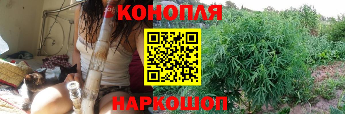 Бошки Шишки план Черкесск
